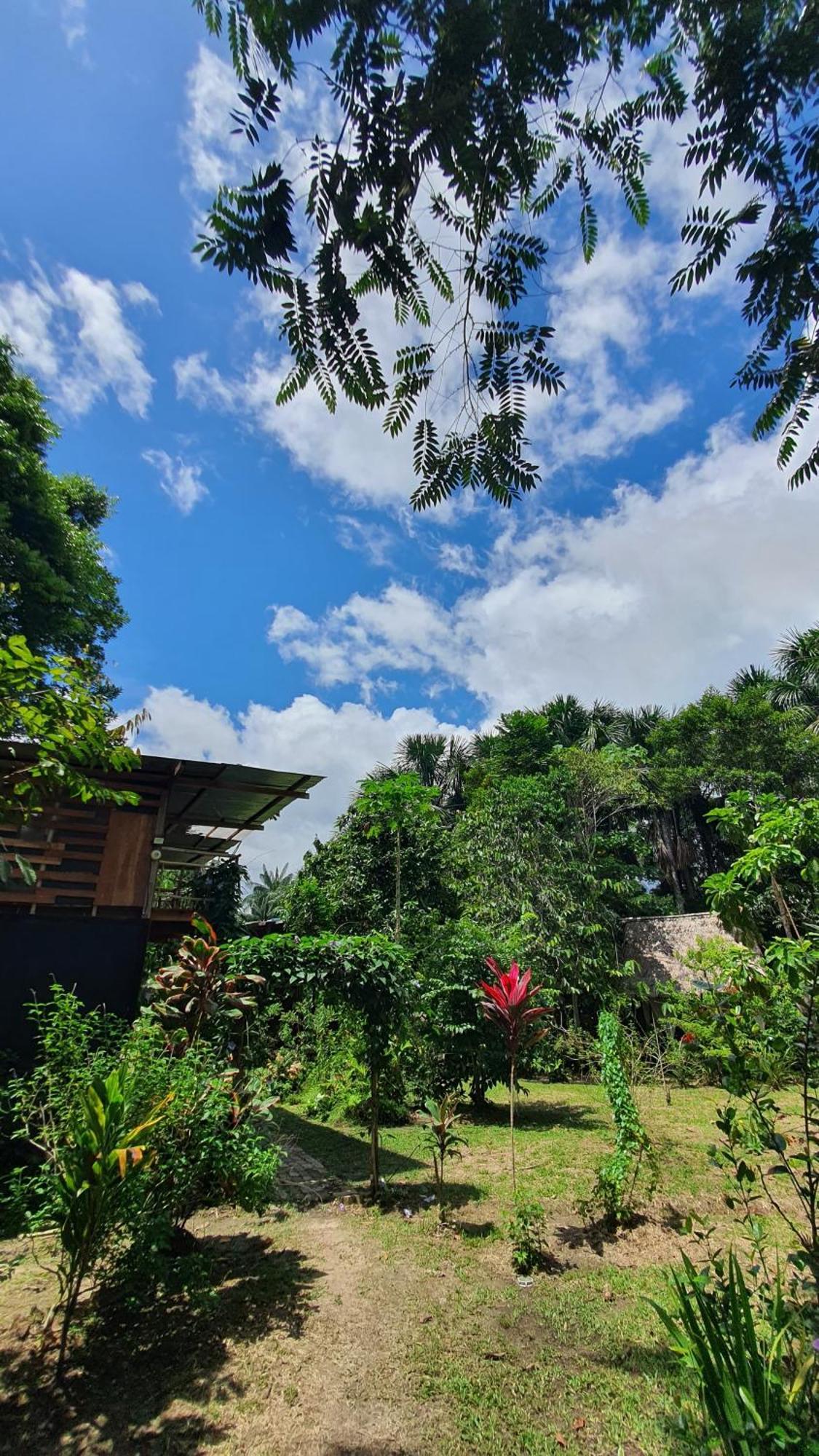 Amazona Lodge Летисия Экстерьер фото