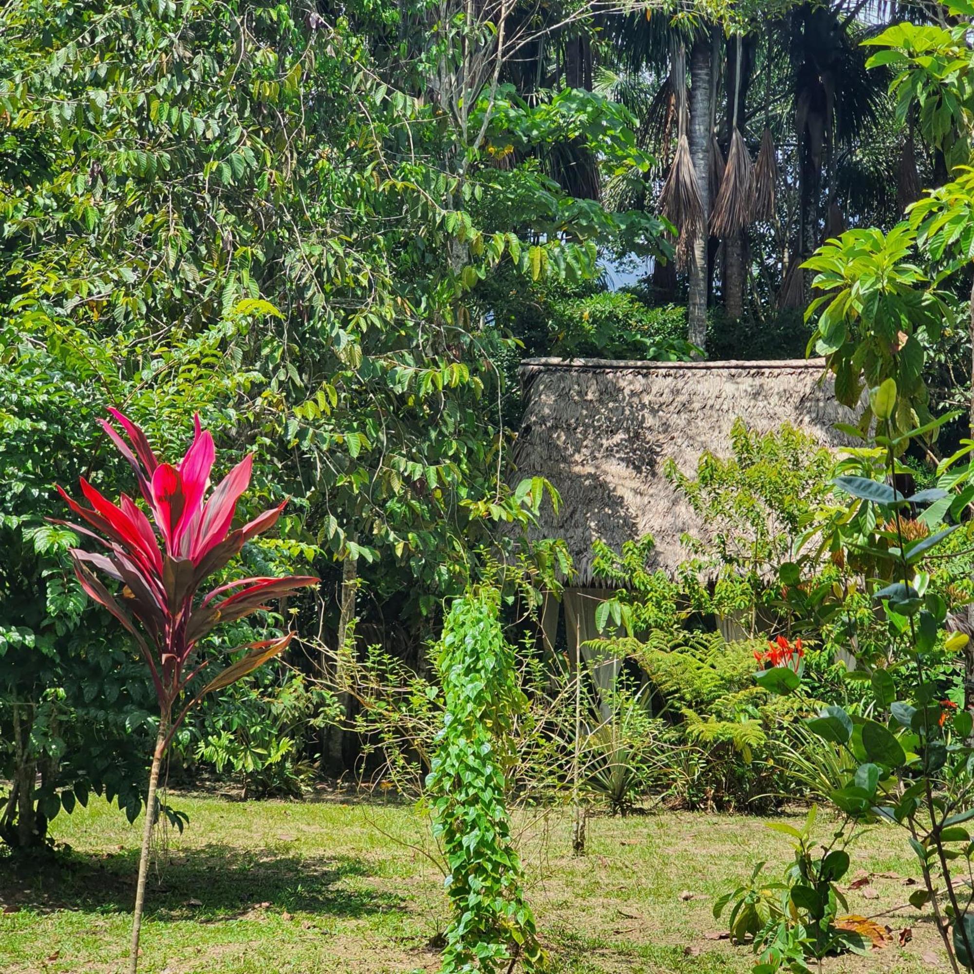 Amazona Lodge Летисия Экстерьер фото