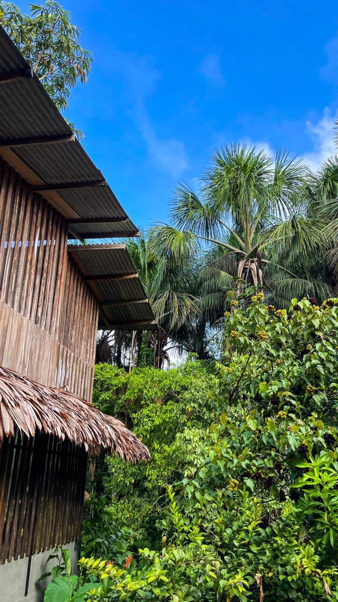 Amazona Lodge Летисия Экстерьер фото